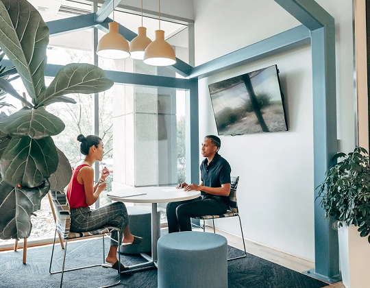 Air-Purifying Office Plants